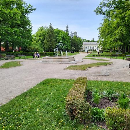 Villa Klara Cieplice 옐레니아구라 외부 사진