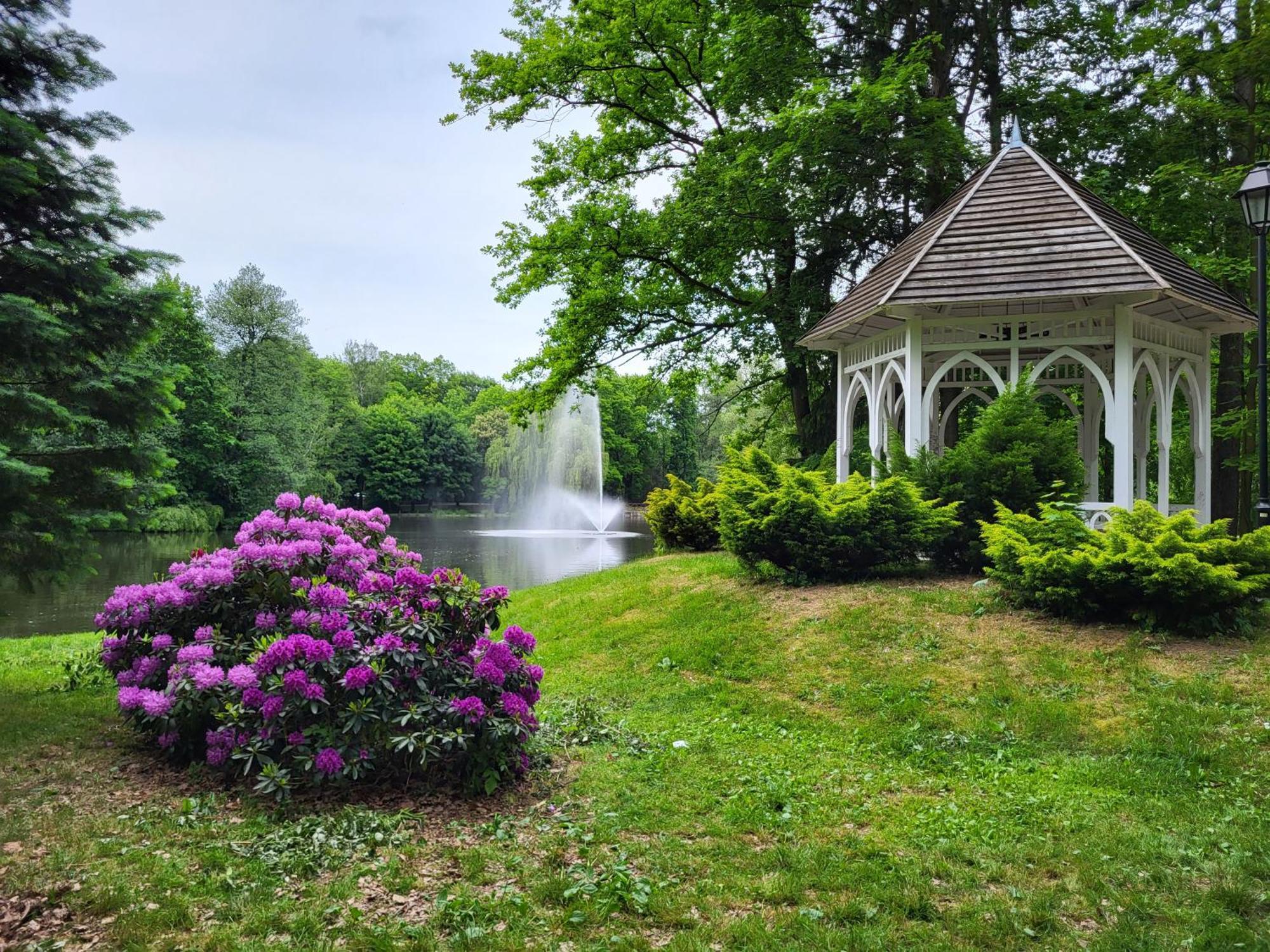 Villa Klara Cieplice 옐레니아구라 외부 사진